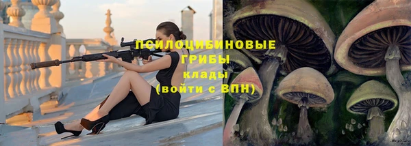 экстази Медвежьегорск