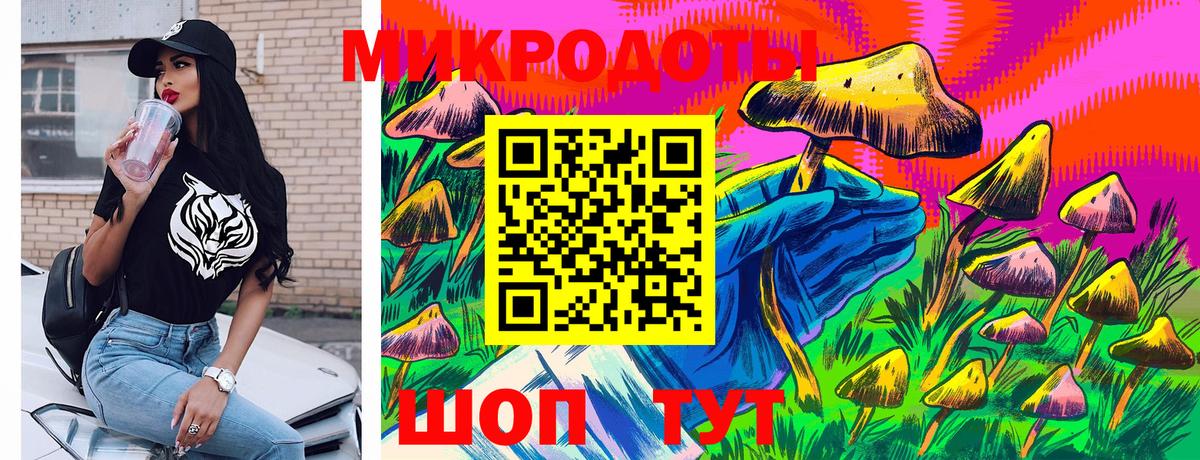 Лсд 25 Сланцы
