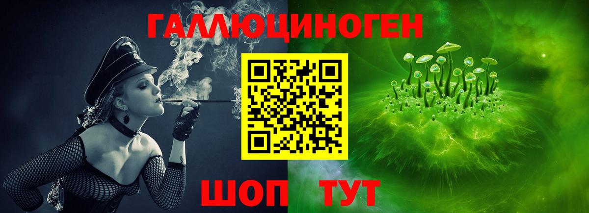 Галлюциногенные грибы Psilocybe  Вход с VPN  Сланцы  Псилоцибиновые грибы прущие грибы 